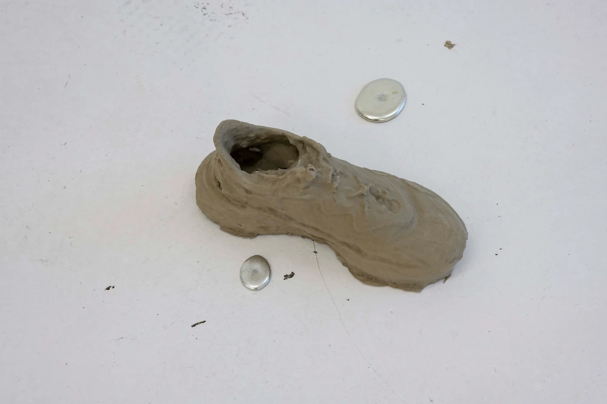 Threads on the Face - Notes on Environmental Literacy - checked